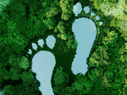 Duurzaamheid en Milieubewustzijn - Budget Papier