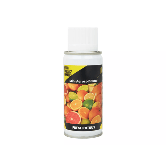 Luchtverfrisser Aerosol Fresh Citrus 12 x 100ml | 490764 - Budget Papier