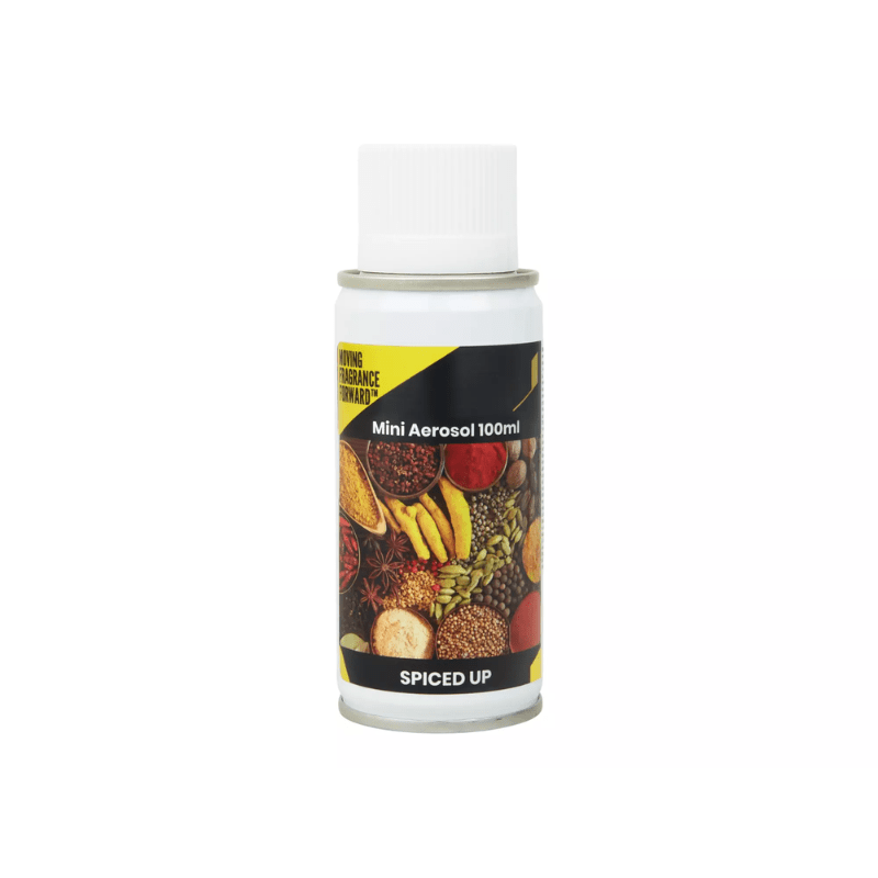 Luchtverfrisser Aerosol Spiced Up 12 x 100ml | 490762 - Budget Papier